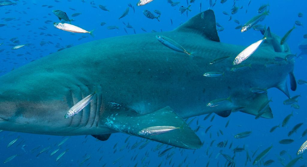 4601b7cf-149c-4238-bf08-3c35d893549f