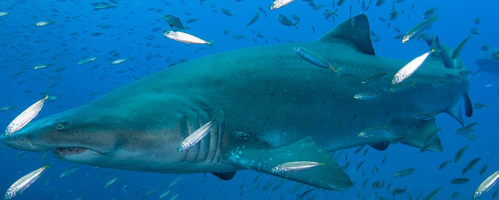 4601b7cf-149c-4238-bf08-3c35d893549f