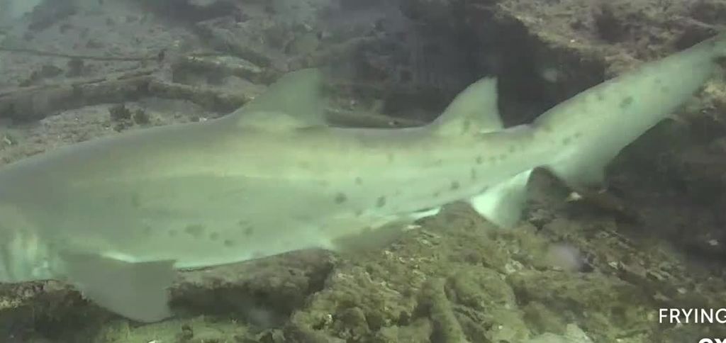 f2fee7f9-5fcd-4ef1-84ce-c0d8d8a85f5b