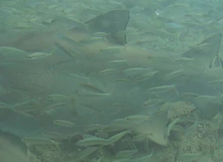 6e7b96f8-6517-4efb-ad62-0c6ef0b1e221