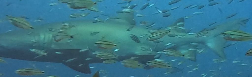 dcd433f8-2ea7-4732-9856-fd5e0e2a2427