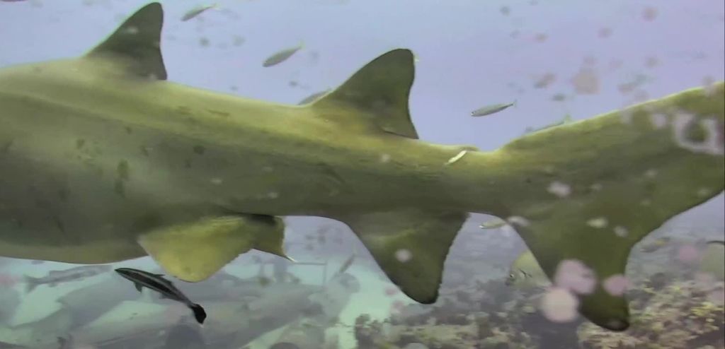 f385f7ed-18f4-488b-ad31-4631acc7fc78