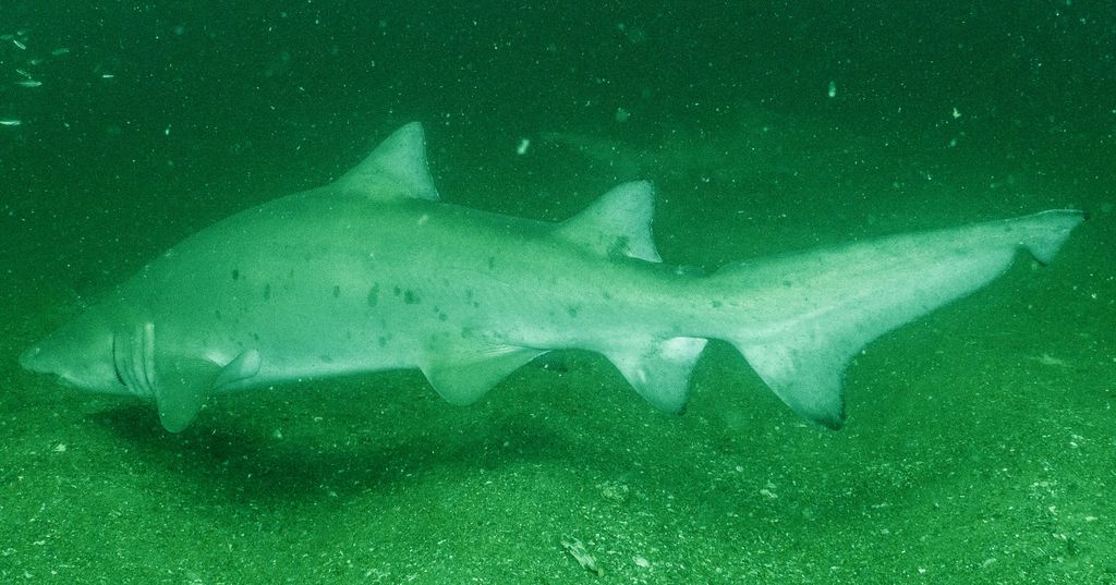 b8f5a32c-9d42-477a-b7f8-f45a1477c22b