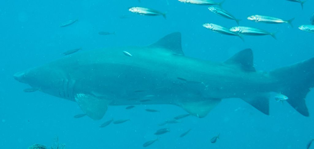 e995646f-b924-4511-a78d-1fa15b7c9167