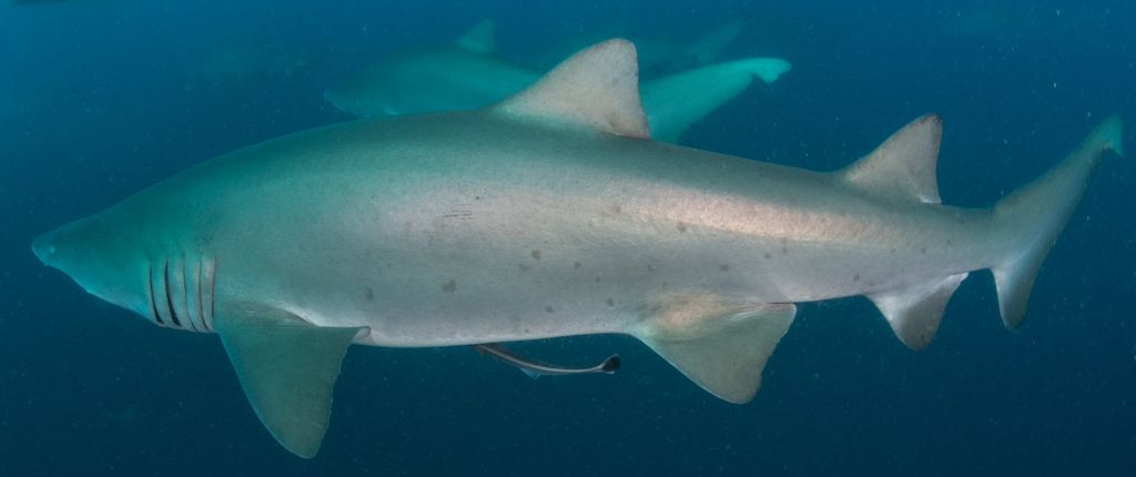 6674a80e-9db9-4ad8-b67f-39aade780c98