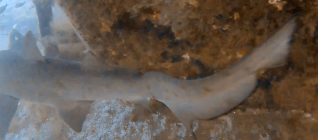 cd92785e-1c86-4b8d-ade9-320f5d41cf9f