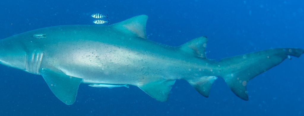 7276c158-9d5a-4c0d-ad3f-fc7280c509b6