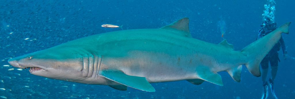 74dd4e19-e9c3-4f9e-9782-1deef943ce94