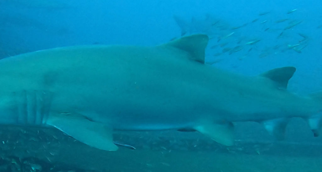 326cc668-4595-4869-8f6b-1ec1f3519b04