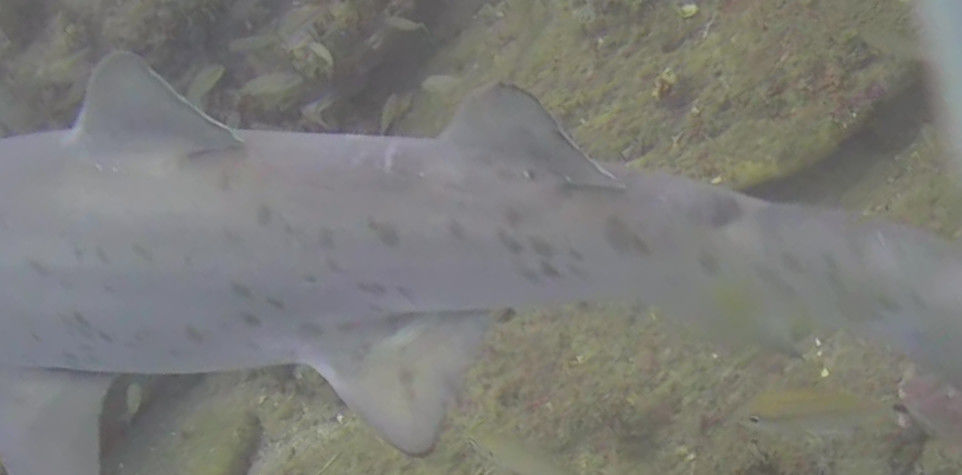 3c13c7fd-aef7-4548-932e-a068d7f00294