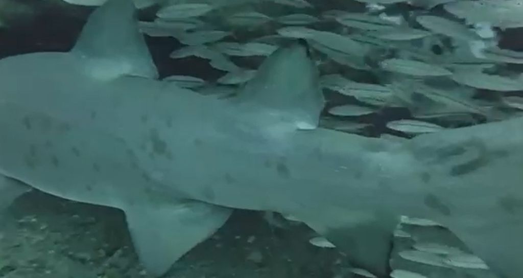 11be3dbc-5eee-4ecf-80ce-63048d154e95