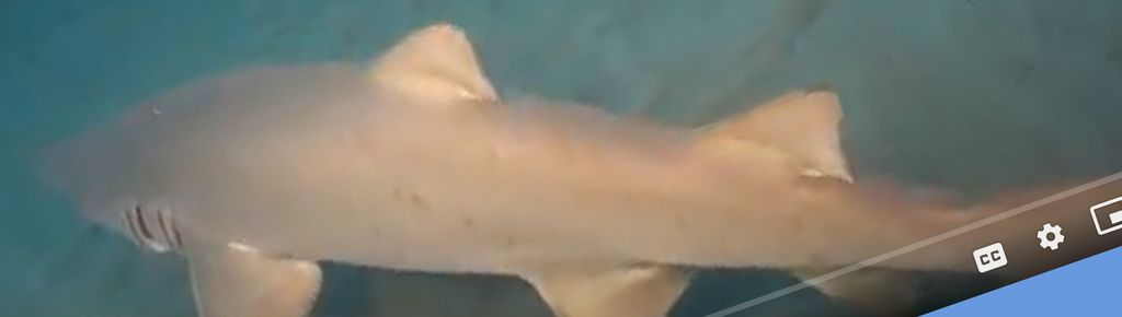 067d49ba-cbee-4d80-9e81-24dc8c846b64