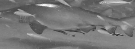 ac3fd5b5-e604-46c4-bd35-a159c6409800