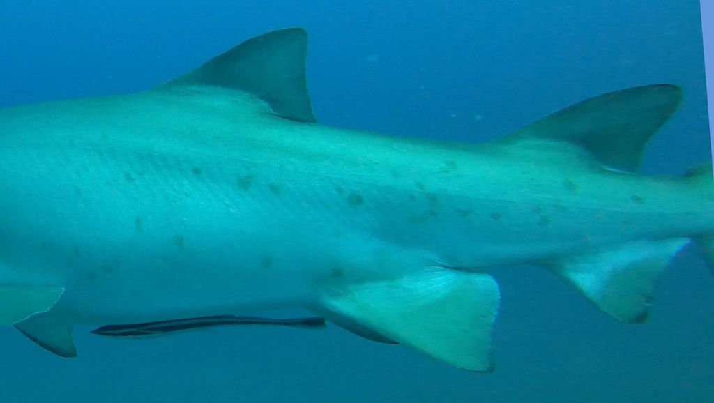 ba50b69f-2c5d-42d7-8fc0-78c485fb628b