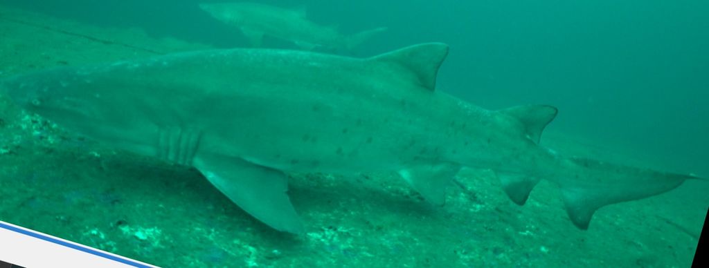 3a92ff29-affd-4031-91ca-66fd4f3c6219