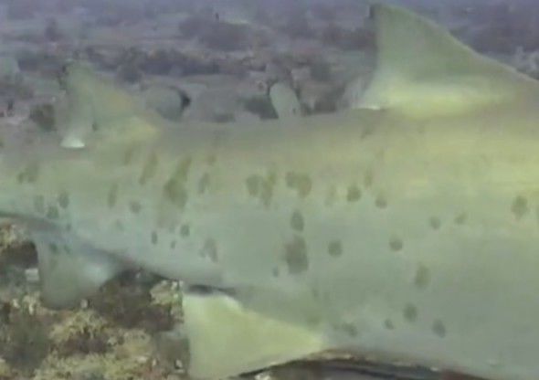 260be9c2-e43f-4b9a-97c9-8fe72b184dfb