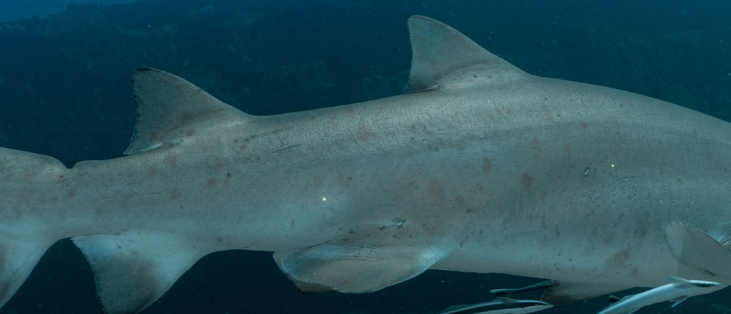 f92ac308-9e6e-4b96-af63-ba2edb434640