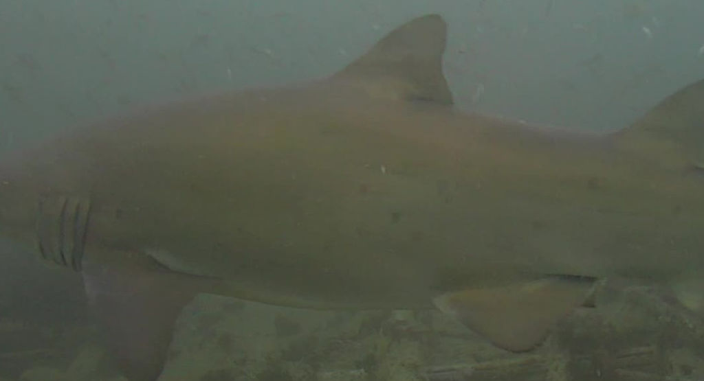 cdbe97f1-b539-4f61-80b2-9ac42fdd78ca