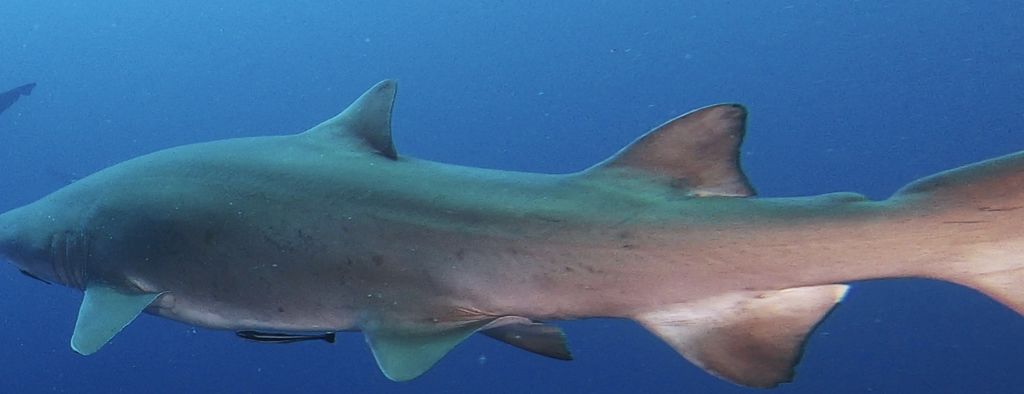 c671ef5f-8846-47e3-9ea2-c46a3e34d78a