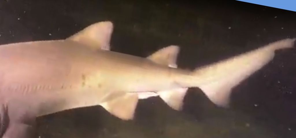 16a0f6eb-5064-49b5-b0df-f2400ed3c348