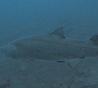 440866df-c615-4f46-9a00-440e1594da73