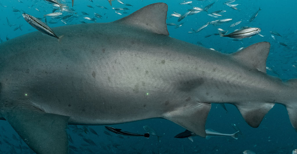 1b774b54-8821-4871-bbcf-cb75684cfe97