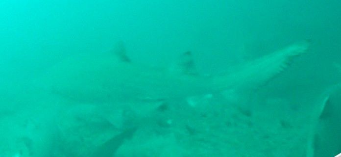 930148d5-7b3a-4090-ac44-c2b45f53eed9