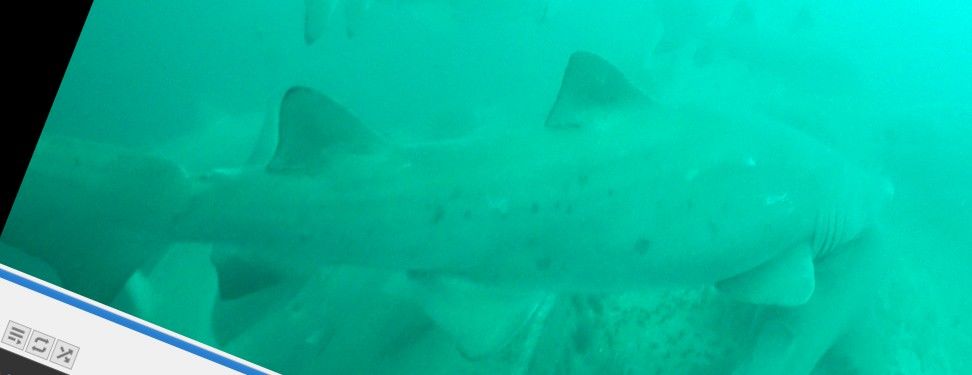 930148d5-7b3a-4090-ac44-c2b45f53eed9