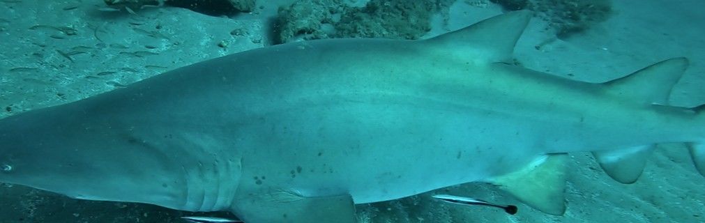 e30d9256-c4db-4a10-82a9-25a5fa50da48