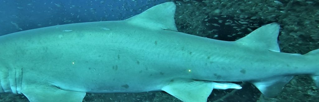 7d12acb2-358f-47a6-ac4c-273a61a9e5fc