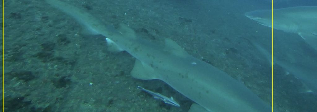 260be9c2-e43f-4b9a-97c9-8fe72b184dfb