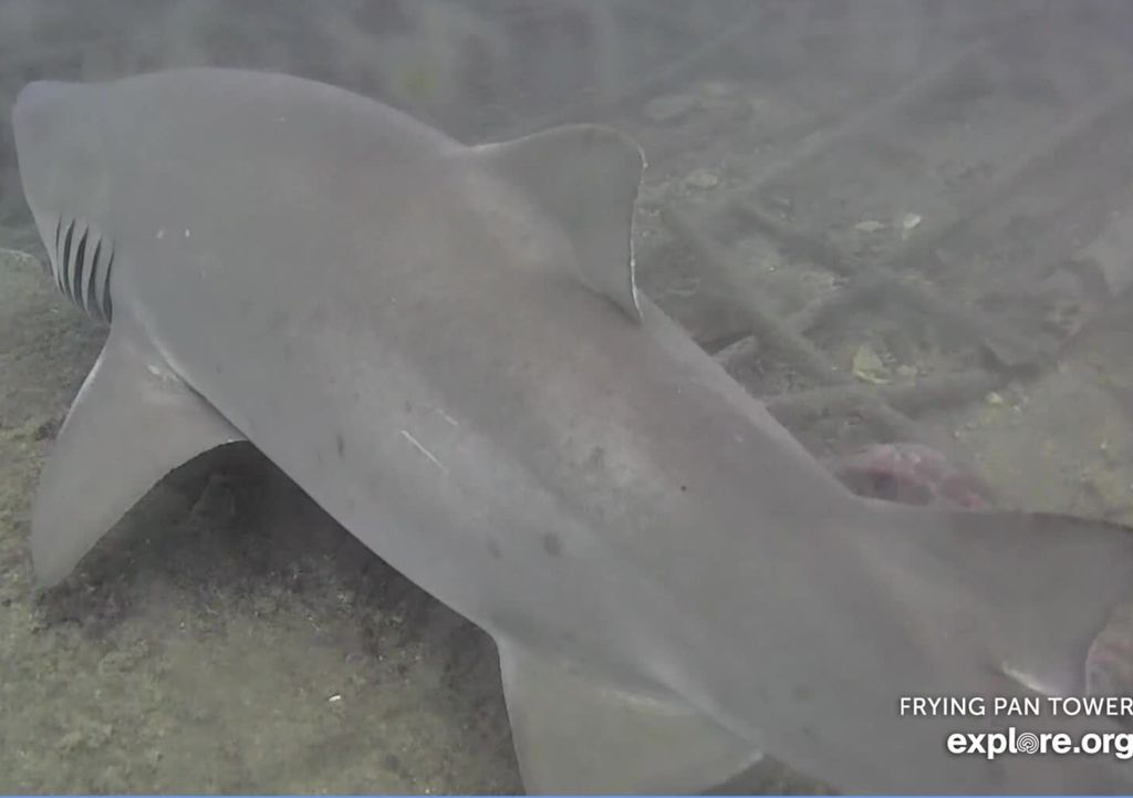 ff3934fe-893a-480e-98a0-1c6e4fa1b6f5