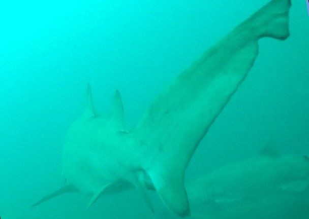 4bb7e9b4-7aa0-4bc3-8cfe-e6e8a897e21c