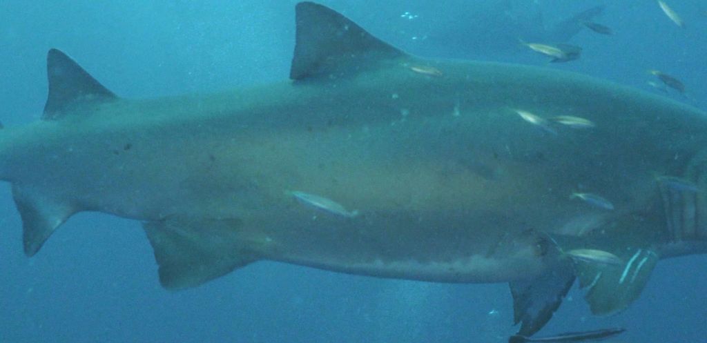 fb9e9dc5-c90b-43e8-bc45-7416bafe6aea