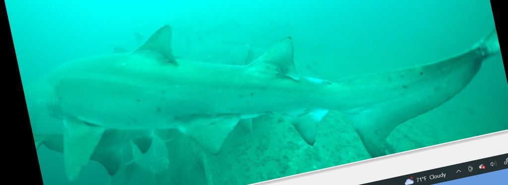 ad6075cf-f078-425c-8296-b24b129ba540