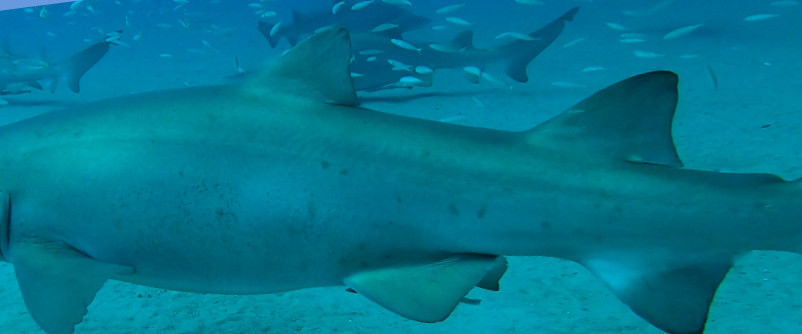 0ccc6be4-a3db-4825-a278-4a337415443a