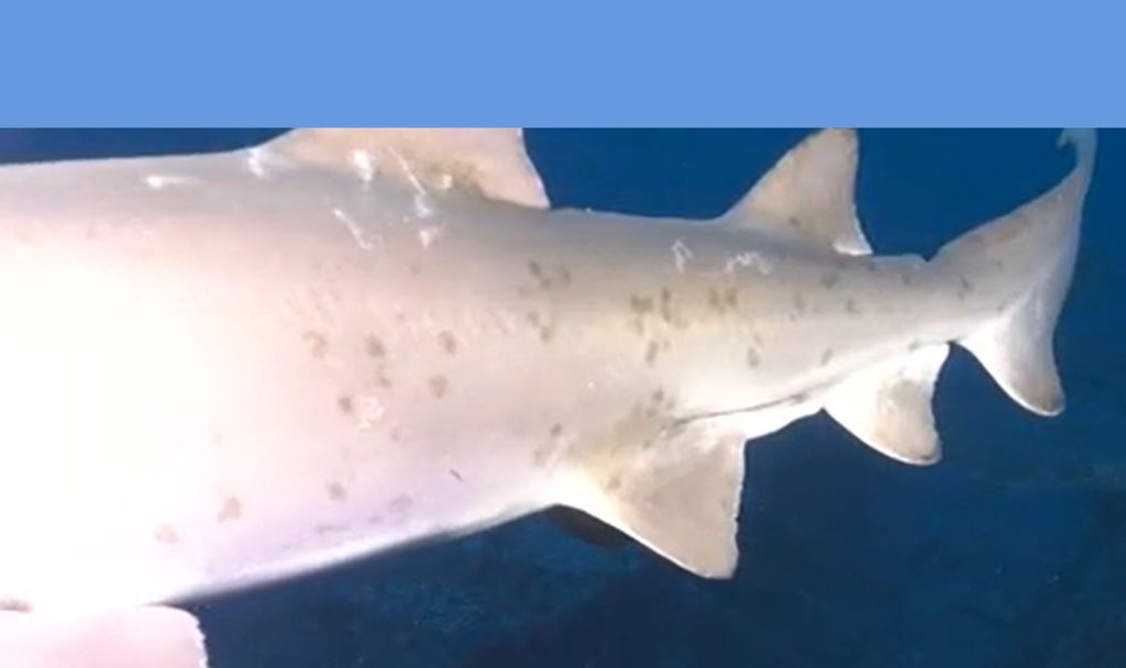 bb23e9e5-8793-4766-a764-42408b727080