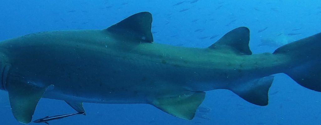 14c74fa8-f1dc-4c7b-b1eb-db8a67d4a472