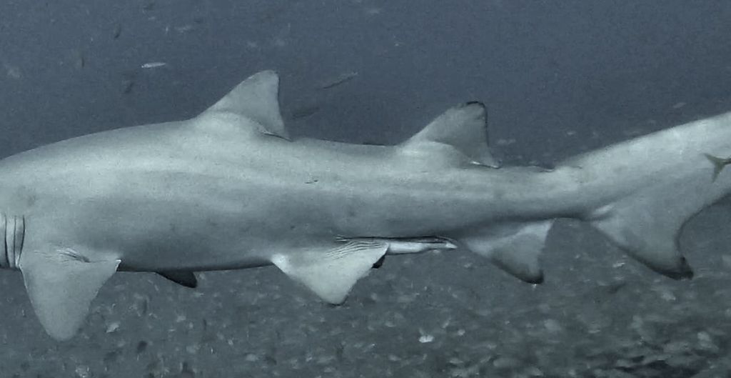 56abc03a-174c-4d35-9a30-71f89bbb097f