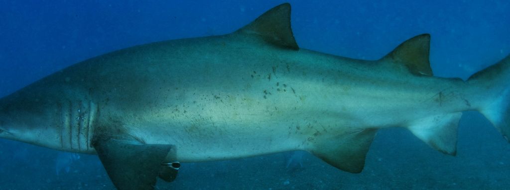 27dd82e0-4b2d-41b0-910d-7c9c22000329