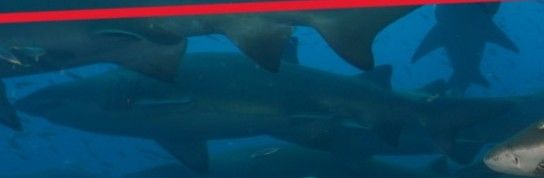 dee9c854-798f-4c92-804f-9881efafc72d