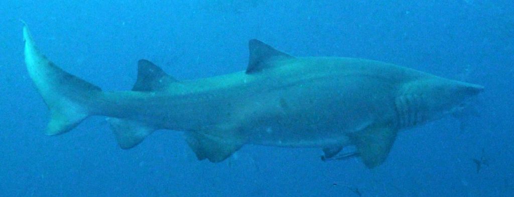 7ab509a5-ca1b-4a37-aaf1-11aec972a532