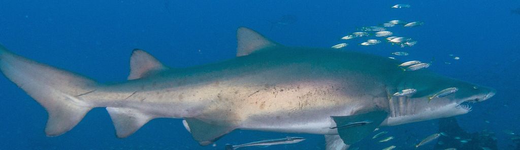 b97cfeb6-33cd-4a39-8319-3cc60242e4b2