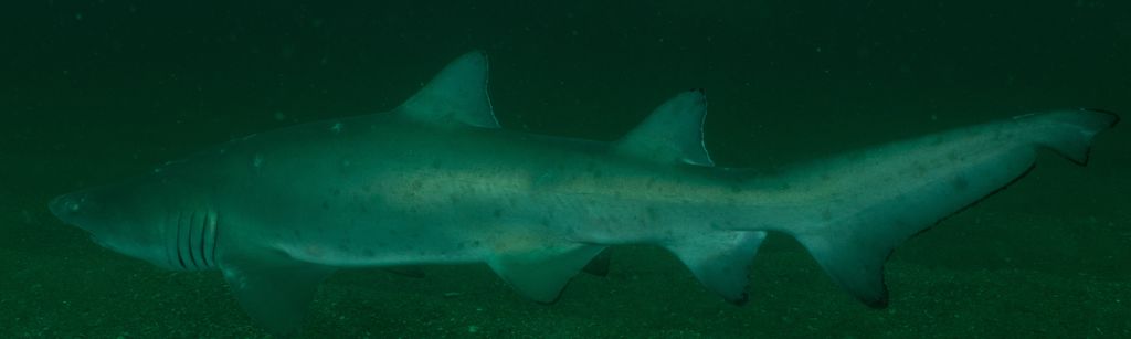 cc430a60-f0bb-44a4-9e96-d9e4163b1211