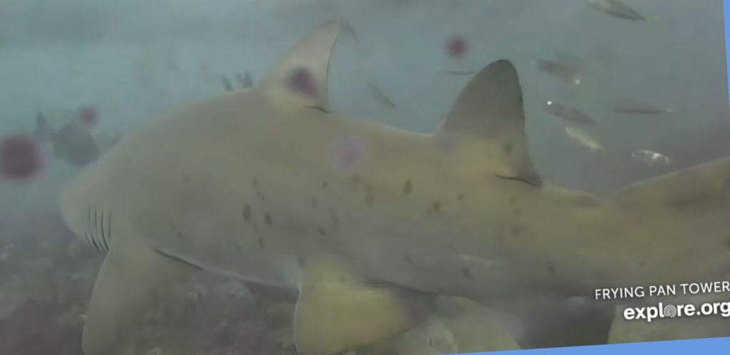 2140495f-d071-4be5-a63b-c29f36273b8d