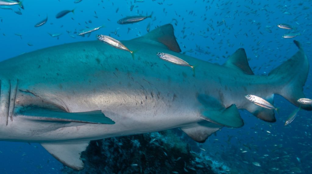 5e30ec7f-3823-44ac-9c4b-dbf1994b78e7