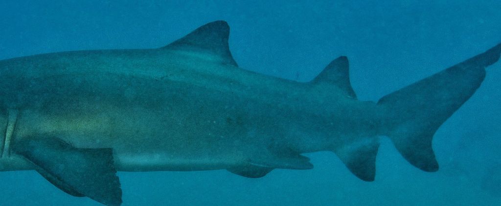 b6c07216-6e76-4e01-960b-7f97a496061d