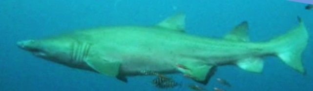 38d0b386-ea95-4244-a558-8643015ca20a