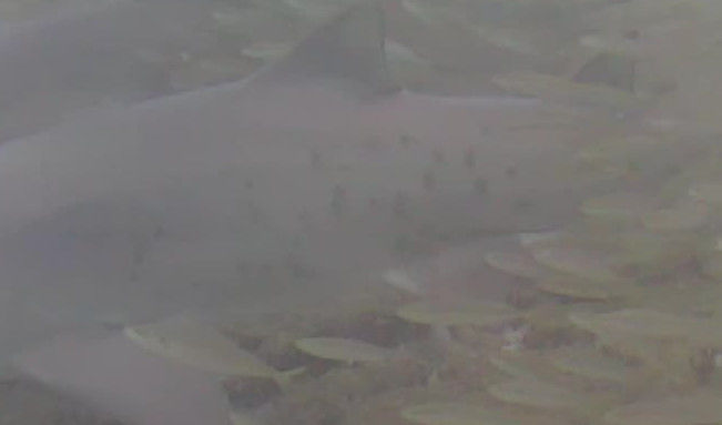 dce5b22b-1728-496e-aaa5-cf23c8d9be86