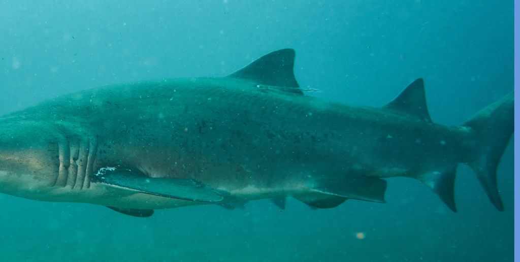 0d7680af-6122-4f2b-b353-ab7a5ce1c7ee